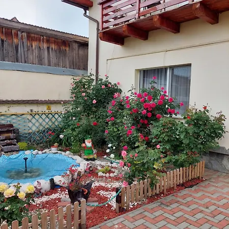 Casa Dany&ady * Risnov